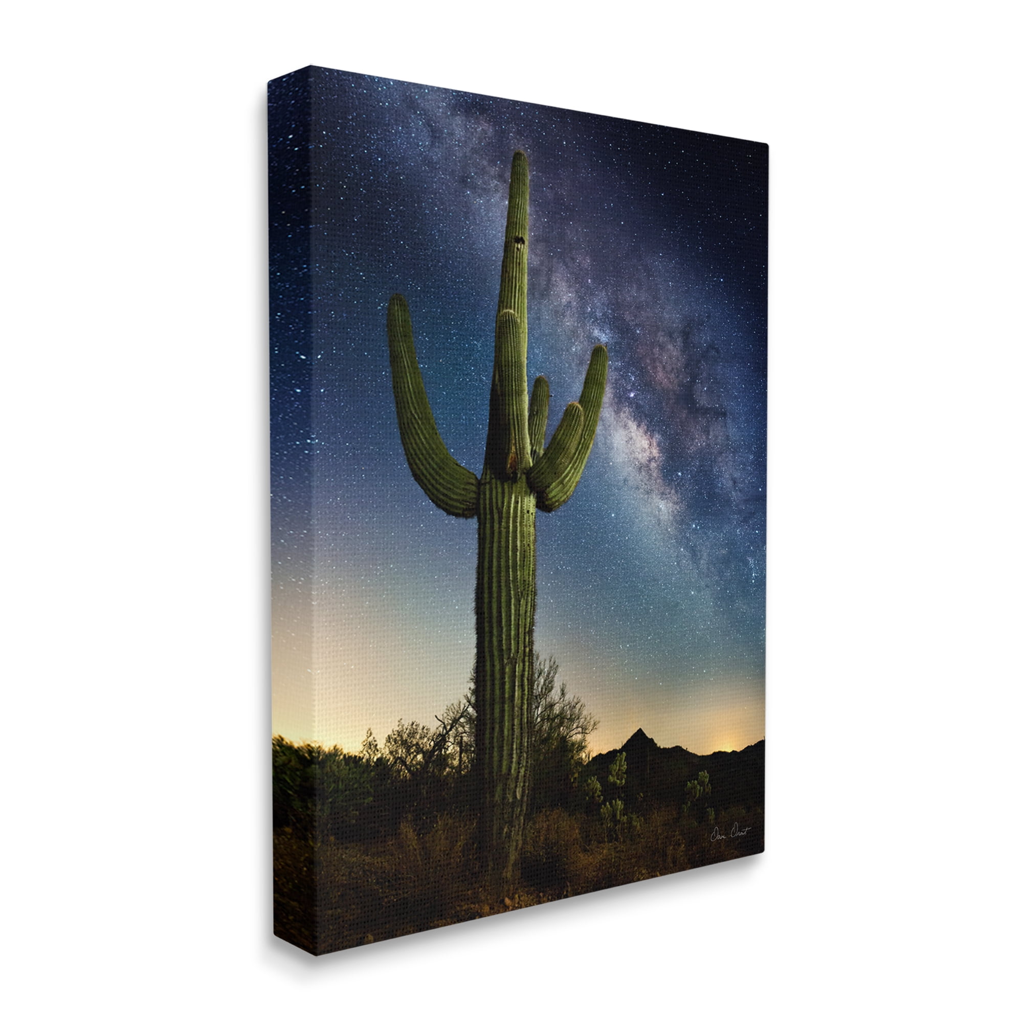 Stupell Industries Cactus & Nebula Photography Fairy Tales & Fantasy Photography Gallery Wrapped Canvas Print Wall Art, 16 x 20