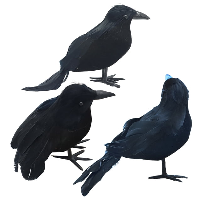 kurtrusly Horror Props For Halloween - High Simulation Black Crow Ornament For Festive three-piece 1Set