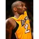 thumbnail image 1 of Diamond Painting (DE8894) 5D DIY Square Mamba Cross Stitch (jh317) 50x70cm Negro FLhrweasw Nuevo, 1 of 1
