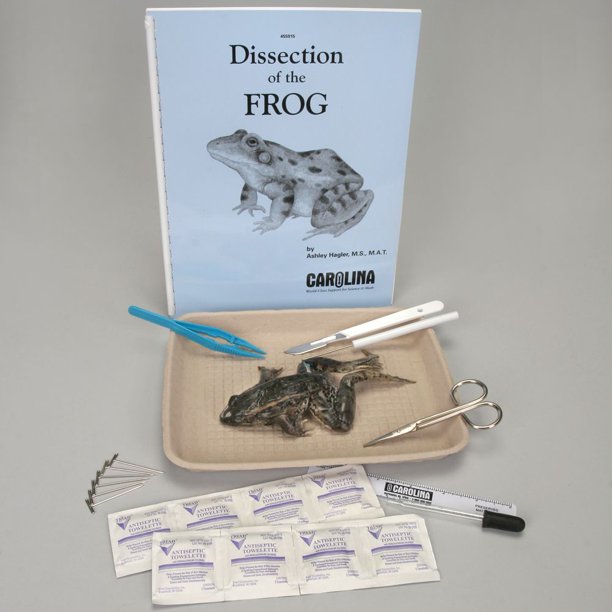 Frog Anatomy Kit With Dissecting Set Walmart Com Walmart Com
