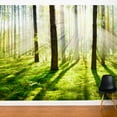 thumbnail image 3 of ADZif Fresk Divine Light Wall Mural, 3 of 5