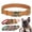 Ligth Brown, variant on Beirui Custom PU Leather Dog Collar Personalized Name Buckle Adjustable XS-L Bulldog
