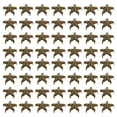 thumbnail image 1 of KAKOWELY 100Pcs Metal Decorative Rivets Five-Pointed Star Rivets DIY Accessories,0.39"X0.39"X0.2", 1 of 5