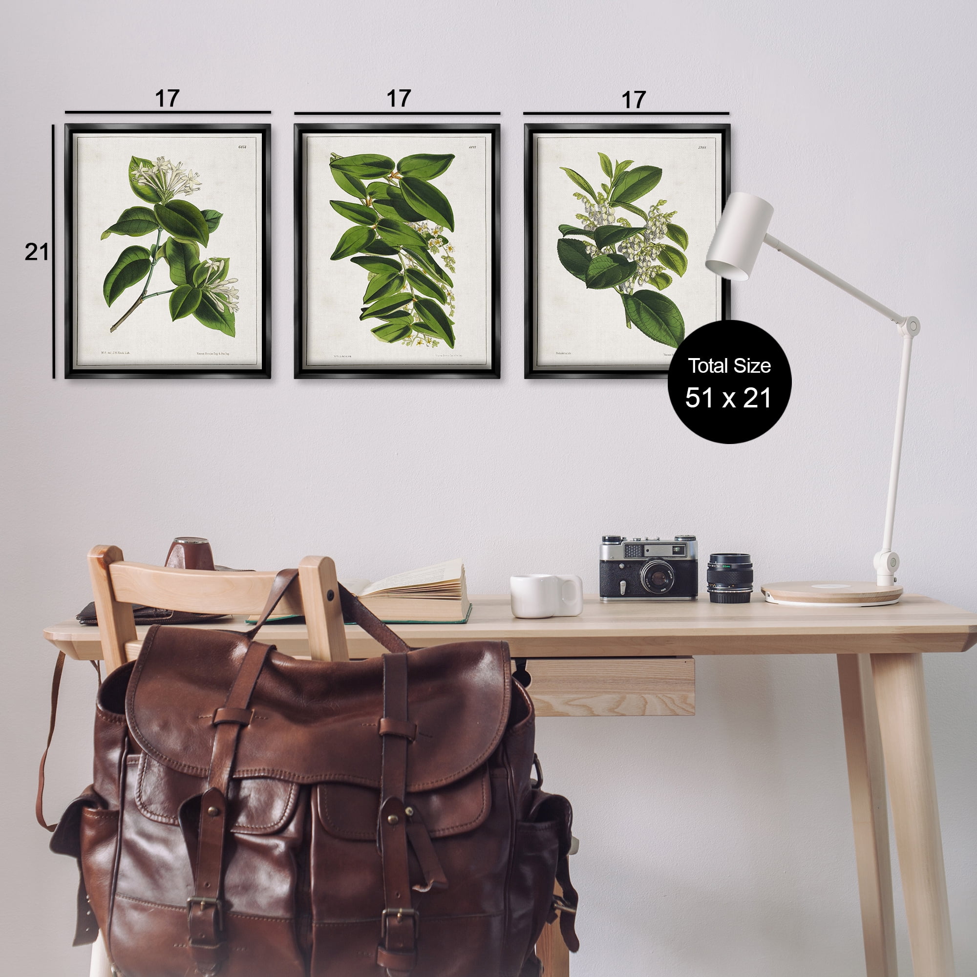 Stupell Industries Vintage Forest Flower Studies Plants & Flowers Painting Black Floater Framed Canvas Art Print Wall Art, 17 x 21, Set of 3