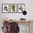thumbnail image 4 of Stupell Industries Vintage Forest Flower Studies Plants & Flowers Painting Black Floater Framed Canvas Art Print Wall Art, 17 x 21, Set of 3, 4 of 10