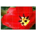 thumbnail image 1 of Flower Picture Ceramic Tile Mural Kitchen Backsplash Bathroom Shower, 405012-S64, 1 of 9
