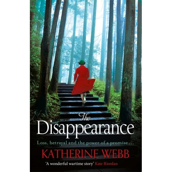 The Disappearance (Paperback)