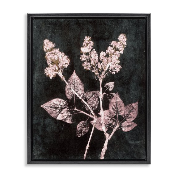 Stupell Industries Shabby Chic Abstract Lilac Plant Black Floating Frame Canvas Art, 17 x 21, by Pernille Folcarelli