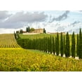 thumbnail image 2 of Eggers, Julie 18x15 White Modern Wood Framed Museum Art Print Titled - Italy-Tuscany Road lined with Italian cypress trees leading to a villa, 2 of 4