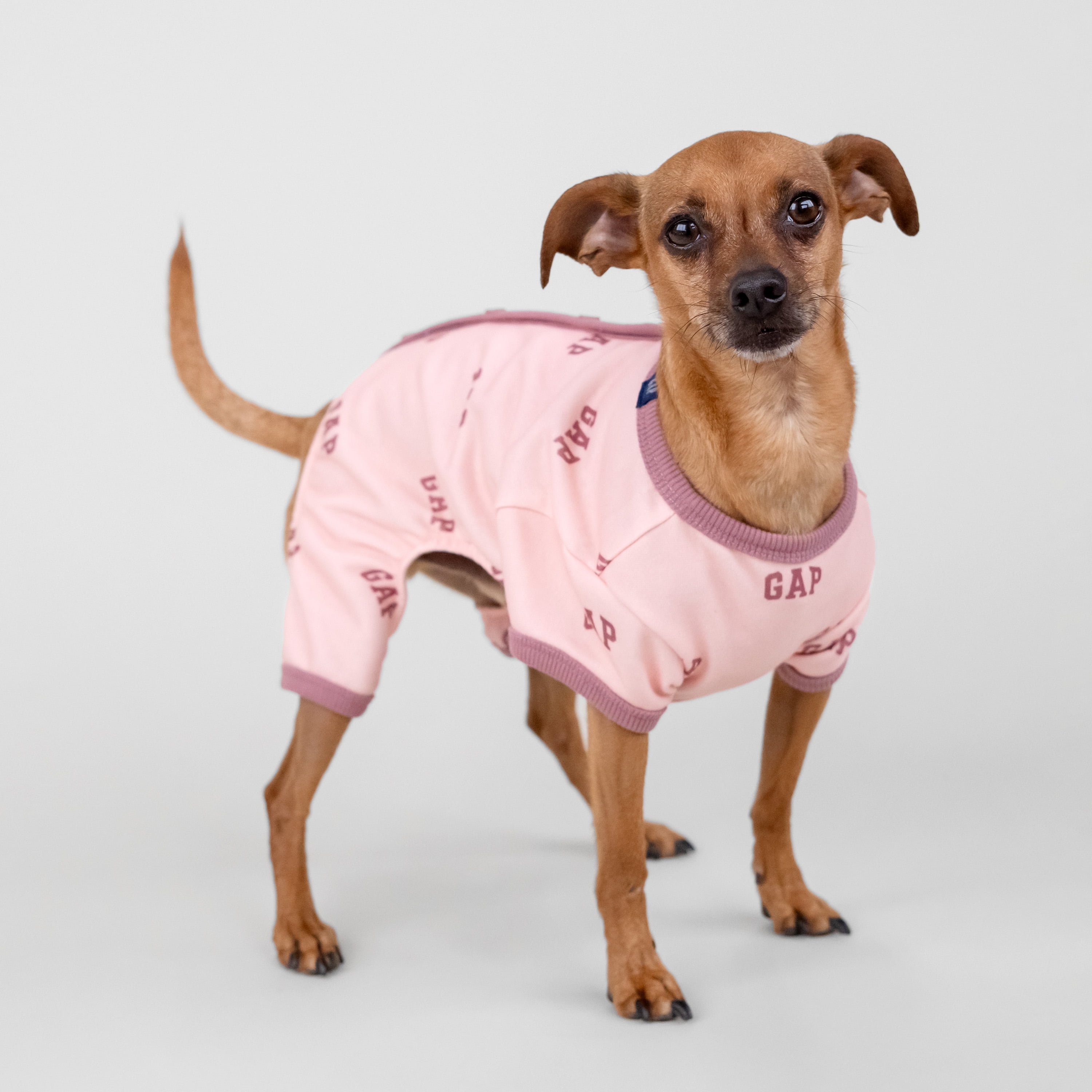 GAP PET★新品タグなし☆DOG用パーカー★XSサイズ★ピンク★新品タグなし GAP PET☆新品タグなし‼️DOG用パーカー☆XSサイズ☆グレー