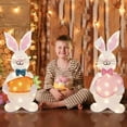 thumbnail image 5 of Easter Decorations Outdoor, Light Up Bunny Decor, Pre-lit 2D Plush Rabbit with Carrot and Egg, Easter Porch Decoration for Outdoor Yard Patio Lawn Garden Indoor Home, 5 of 7