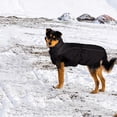 thumbnail image 2 of Chaqueta para perros grandes, chaleco reflectante impermeable de invierno con hebilla ajustable, ropa cálida para perros con forro polar, color negro, talla 3XL, 2 of 4