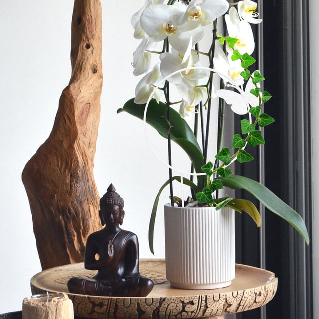 unbranded Estructura Metálica Para Plantas Trepadoras Ideal Para Patios Y Áreas