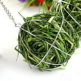 thumbnail image 3 of BESTSKY Hay Manger Food Ball,Grass Ball Steel Plating Grass Rack Ball,Cage Attachment Pet Hamster Supplies, 3 of 3