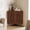 Brown, variant on Retro Corner Cabinet With 2 Hollow Carved Doors And 2-Tier Shelves