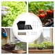 thumbnail image 4 of Kit Completo de Cultivo Hidropónico para Jardinería Doméstica, Cultivo Hidropónico de Interior, Kit de Plántulas para Lechuga, Flores y Más B, 4 of 5