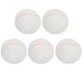 thumbnail image 1 of YOSADIER 5Pcs Softball Practice Balls for Students in 10 Inches for Throwing Training, 1 of 4