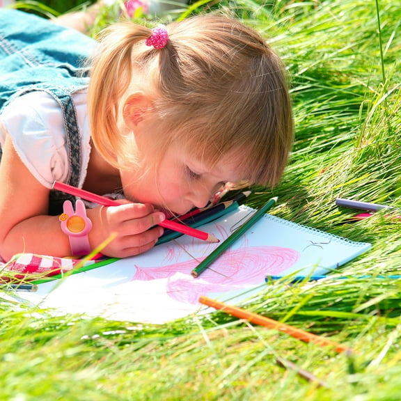 Evergreen Silicone Click Slap Mosquito Repellent Bracelet with 2 refills, 3 Assorted, 0.9'' x 8.8'' x 0.4'' inches.