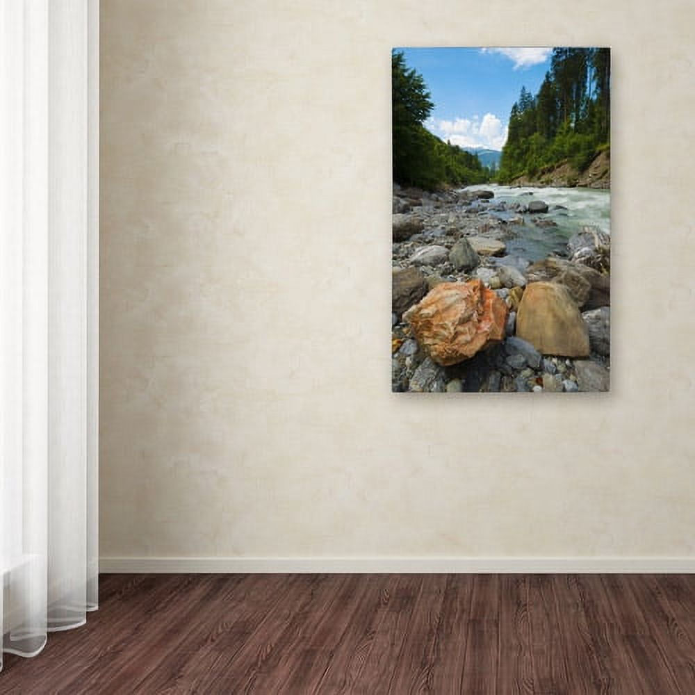 Trademark Fine Art "Isolated" Canvas Art by Philippe Sainte-Laudy