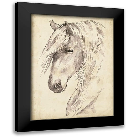 Parker, Jennifer Paxton 12x14 Black Modern Framed Museum Art Print Titled - Horse Portrait Sketch II