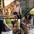 thumbnail image 7 of Wolfgang Heavy Duty Adjustable Dog Harness, Pull-Tested to Over 800 lbs for Walking & Training, Daydream Print, Large, 7 of 7
