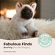 thumbnail image 3 of Peluche de peluche Lil' Cleo Siamese, colección Bearington, 20 cm, 3 of 6