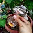 thumbnail image 2 of Piezas Botella de Riego Cono 300ML, Bola de Arcilla para Plantas de Interior, Sistemas de Riego Automático para Macetas, Dispensador de Agua Plantas Riego Bolas Transparentes de Vacaciones (Seta), 2 of 5