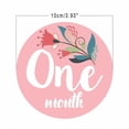 thumbnail image 2 of Baby Milestone Stickers Floral Month Sticker for Infant Use 12Pcs Set, 2 of 5