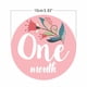 thumbnail image 2 of Baby Milestone Stickers Floral Month Sticker for Infant Use 12Pcs Set, 2 of 5