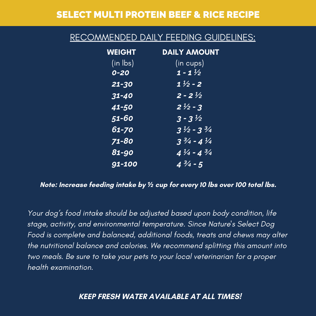 Nature's Select Multi Protein Beef & Rice Recipe, Dry Dog Food for Adults (28 lbs)