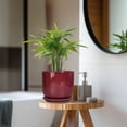 thumbnail image 5 of Ordivic 7 inch Round Red Ceramic Planter with Drainage Hole & Saucer, Flower Pot for Parlor Palm, Ivy, African Violet Entryway Porch & Living Room Decor, 5 of 8