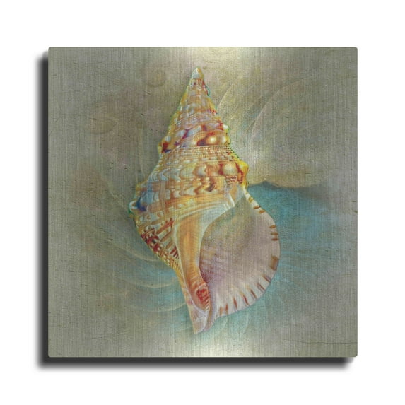 Luxe Metal Art 'Aquatica I' by Steve Hunziker Metal Wall Art, 36"x36"