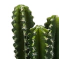 thumbnail image 3 of Vickerman 17" Artificial Green Cactus Plant., 3 of 5