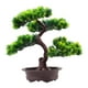 thumbnail image 1 of de bonsái artificial, verde decorativo con maceta, simulación de bonsái, de imitación para granja, escritorio, baño, decoración del, 1 of 7