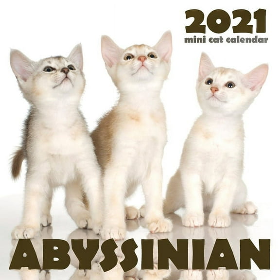 Abyssinian 2021 Mini Cat Calendar (Paperback)