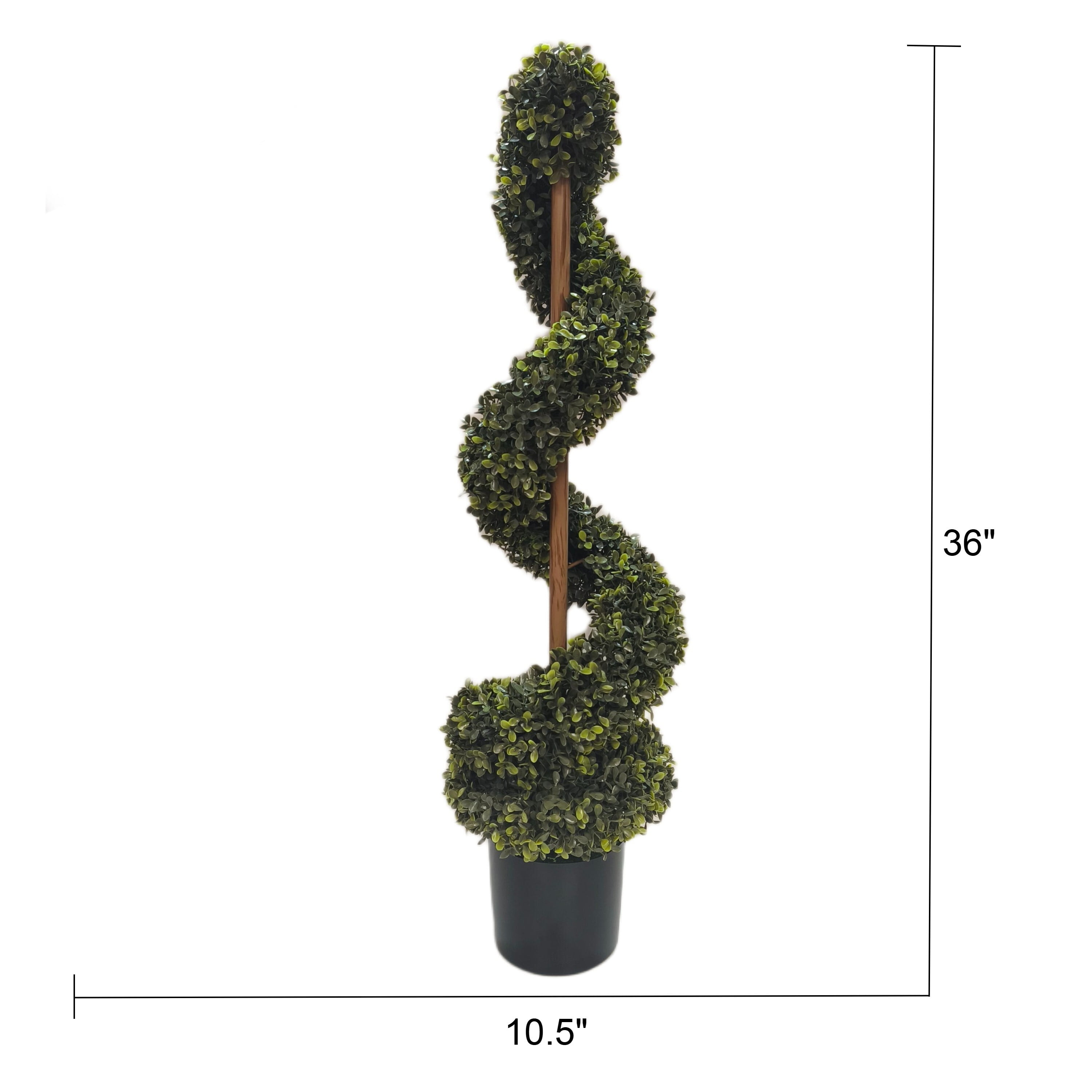 My Texas House 36" Swirl Boxwood Topiary