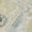 Wheat, variant on Addison Rugs Chantille Indoor/Outdoor Transitional Paisley Aloe Machine Washable Rectangle Rug, 10' x 14'