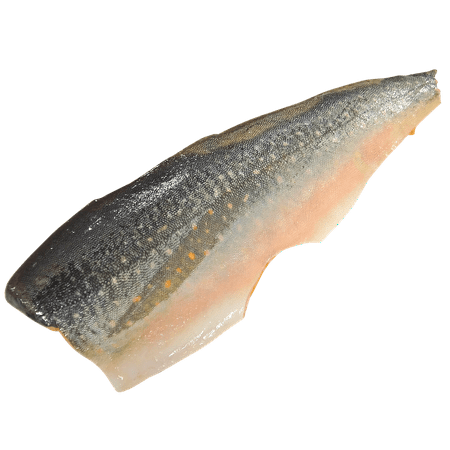- Canvas Print Seafood Arctic Char Char Fillet Alaska Salmon Stretched Canvas 10 x 14
