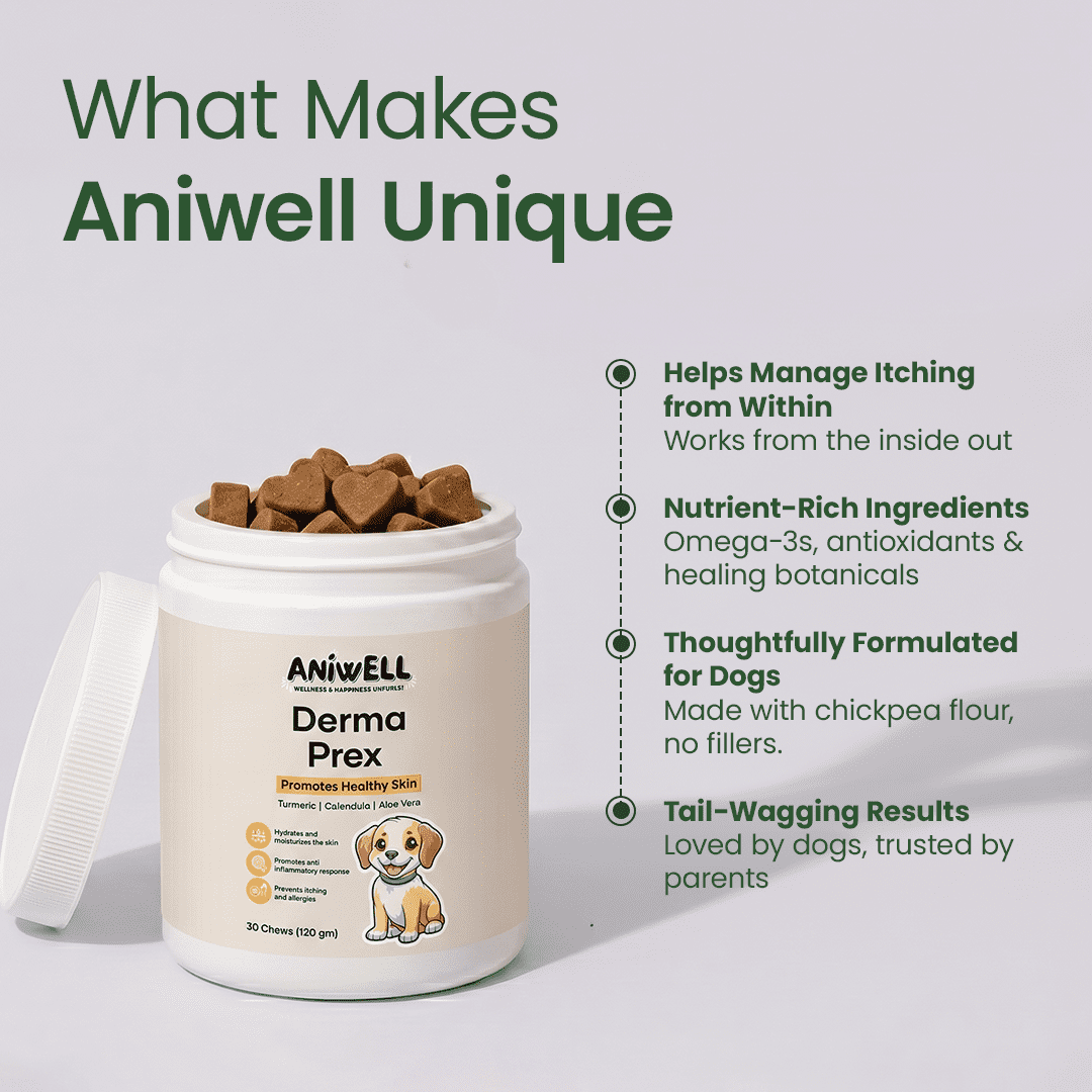 Aniwell DermaPrex Dog Itch Relief Chews | Vitamin E & Borage Oil | Anti Itch Dog Supplement | Seasonal Allergy & Itchy Skin Support | All Breeds