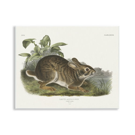 Stupell Industries Vintage Cottage Hare Animals & Insects Painting Unframed Art Print Wall Art, 14 x 11