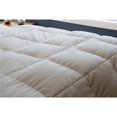 thumbnail image 1 of JS Comforts TEN043 All Season Luxury Aloe Vera Tencel Comforter - Queen, 1 of 1