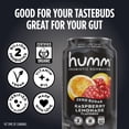 thumbnail image 5 of Humm Kombucha, Zero Sugar Drink, Keto, Variety 16 Pack, 12 oz Cans, 5 of 6