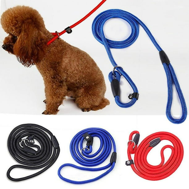 Slip leash for small dogs 2025