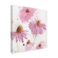 thumbnail image 2 of Trademark Fine Art 'Purple Coneflower Garden' Canvas Art by Sheila Golden, 2 of 3