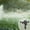 Rotating Rocker Sprinkler Under $5 a7, variant on Yrmaups 360 Degree Rotating Rocker Arm Sprinkler, Plastic External Thread Water-Saving Irrigation Sprinkler Head, Adjustable Spray Pattern for Agricultural Gardens and Large Lawns, Durable Outdoor
