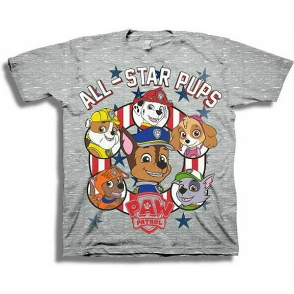 Nickelodeon Paw Patrol Short Sleeve T Shirt Boy Size 5T