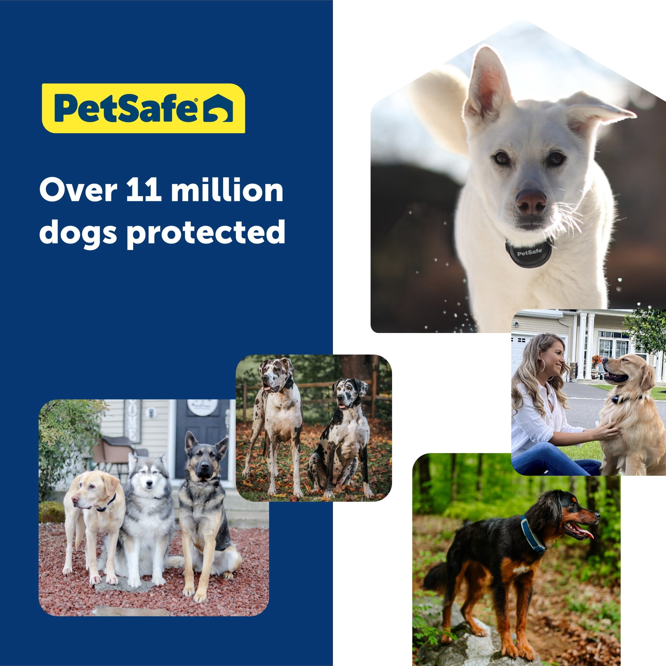 PetSafe YardMax Rechargeable In-Ground Fence for Dogs and Cats