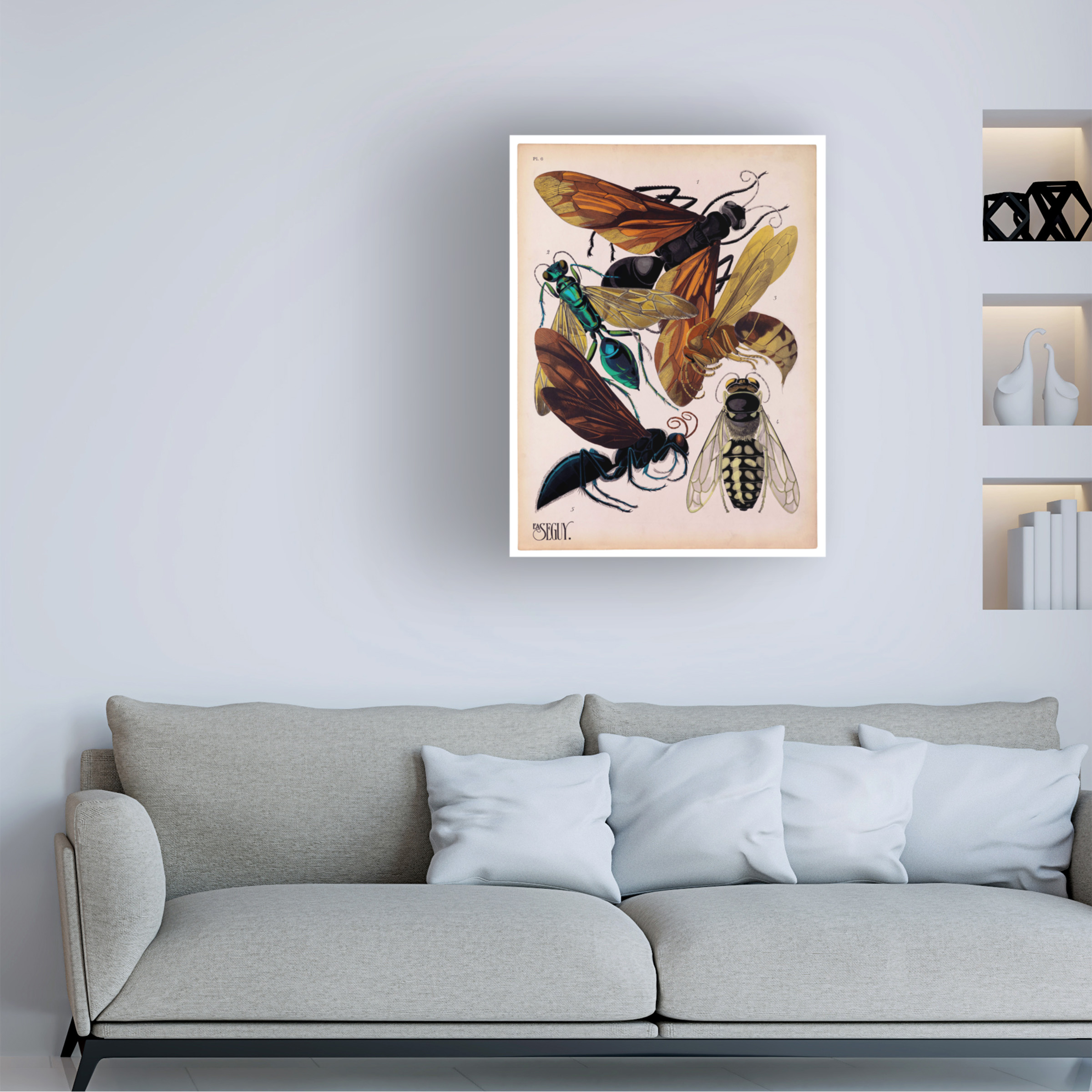 Trademark Fine Art Print Collection Insects Plate 15 Canvas Wall Art - 35x47