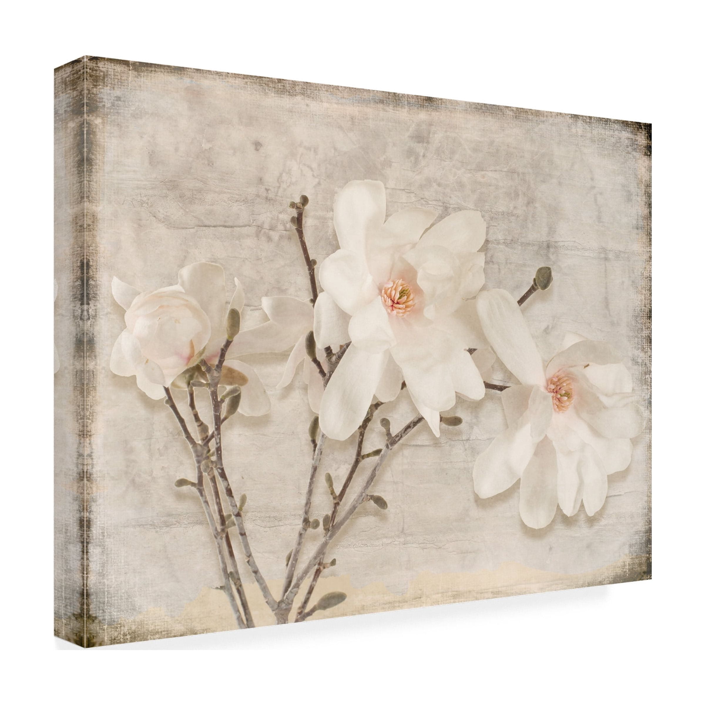 LightBoxJournal 'Spring Magnolia' Canvas Art