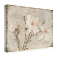 thumbnail image 4 of LightBoxJournal 'Spring Magnolia' Canvas Art, 4 of 4